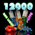 Best 12000 Puffs vapme jetable vape en gros